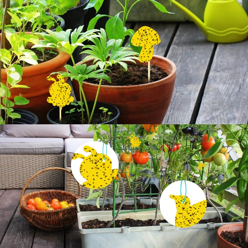 Stingmon 96 Pack Yellow Fungus Gnat Sticky Traps, Gnat Traps for House Indoor Gnats Killer, House Plant Gnats Bugs Sticky Killer Fruit Fly Traps for Indoor - Image 5